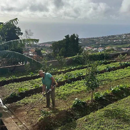 ゲストハウス Casa Malee