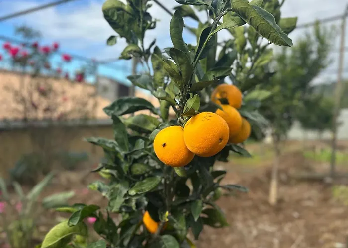 Casa Malee بيت ضيافة كالهيتا