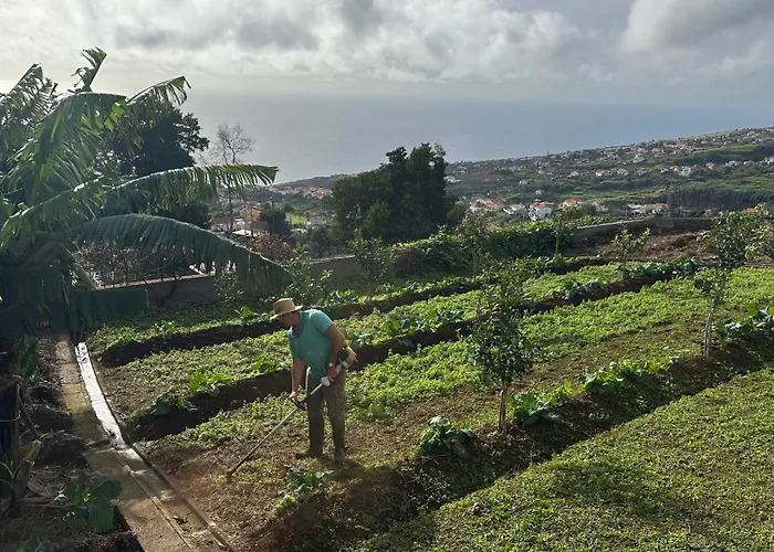 ゲストハウス Casa Malee