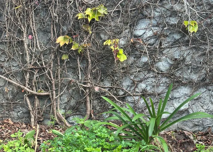 Casa Malee ゲストハウス 4*