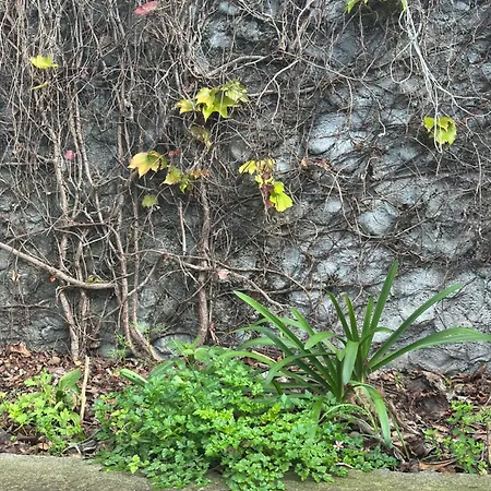 Casa Malee Pensionat 4*